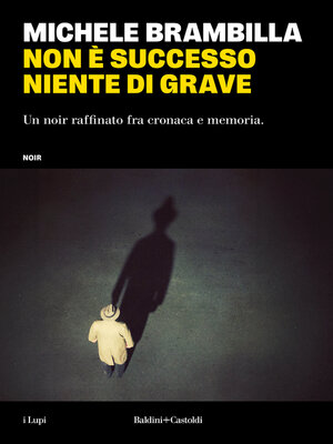 cover image of Non E' Successo Niente Di Grave